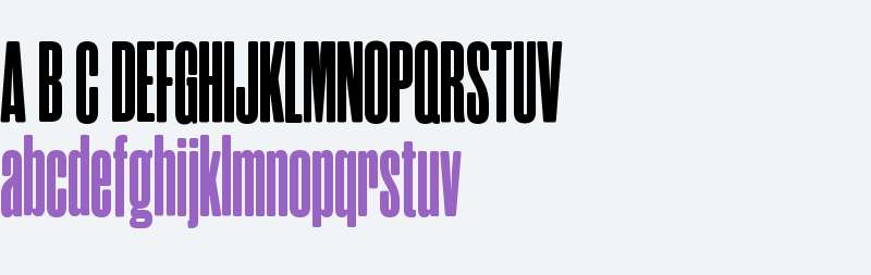 Rama Gothic Rounded C Heavy