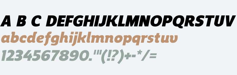 Regan Alt W00 Black Italic