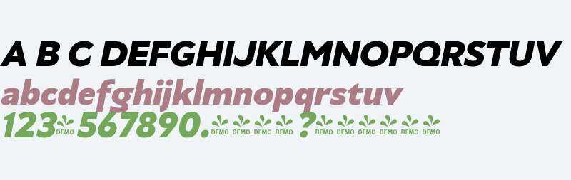 FSP DEMO - Heavy Italic