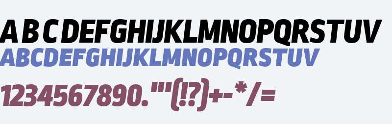 Ropa Sans SC W06 Black Italic