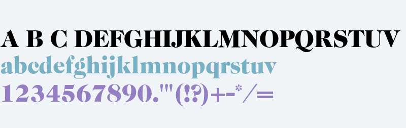 Caslon 224* Black