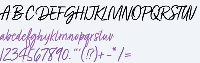 Turbinado Light W00 Regular