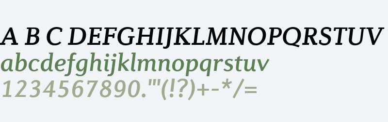 Diverda Serif W04 Medium It