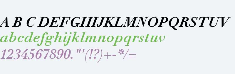 Didot eText W04 Bold Italic