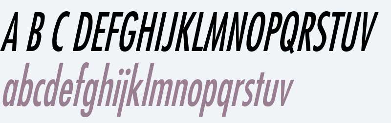 Fuji Thin Italic