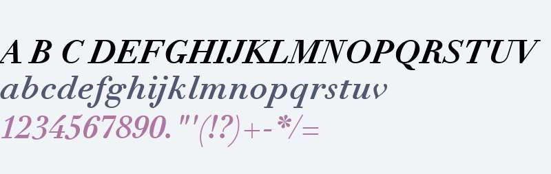 Didot eText W01 Bold Italic