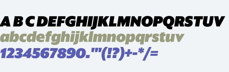 Sanomat Sans Web Black Italic