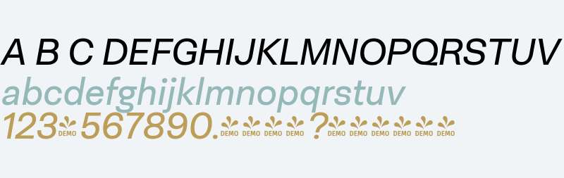 FSP DEMO - Neogrotesk Ess It