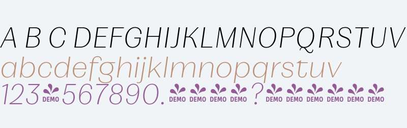 FSP DEMO - Mumford Thin Obl