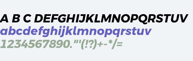 Argentum Novus Bold Italic