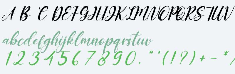 Miss Amalia Italic