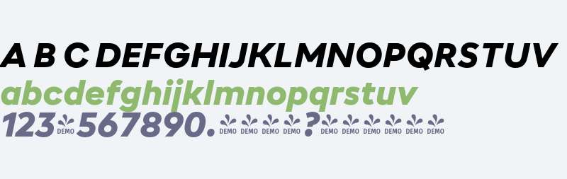 FSP DEMO - n Rdl B Blck tlc