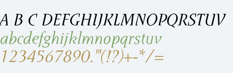 Runa Serif W01 Light Italic