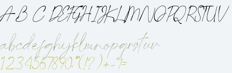 Last Signature Script