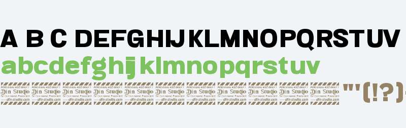 Ringtail Sans Serif Personal Us