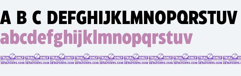 Eastman Condensed Trial Exbold
