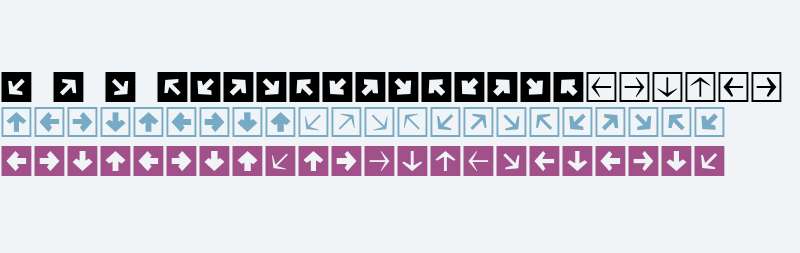 Mini Pics Directional SA