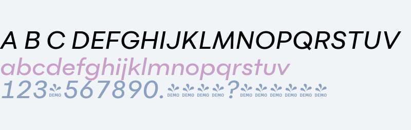 FSP DEMO - Flink Medium Italic