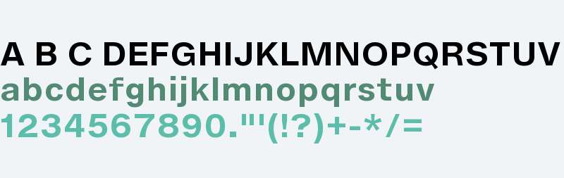 HelveticaNowMicroW01-Bold