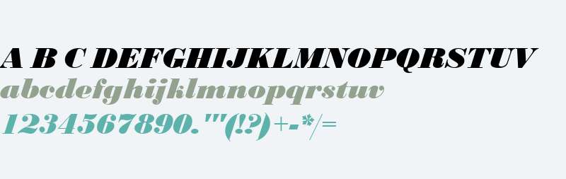 Bodoni W01 Black Italic