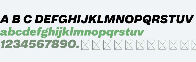 Mint Grotesk Trial Black