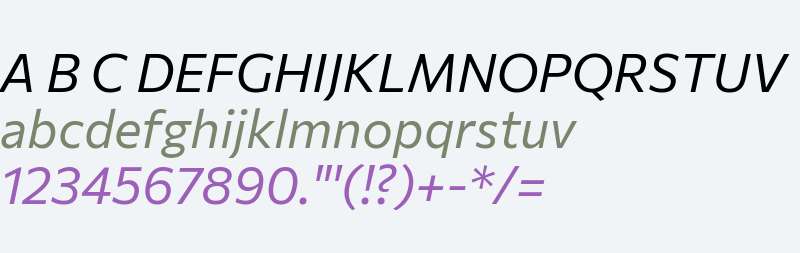 Commissioner Italic