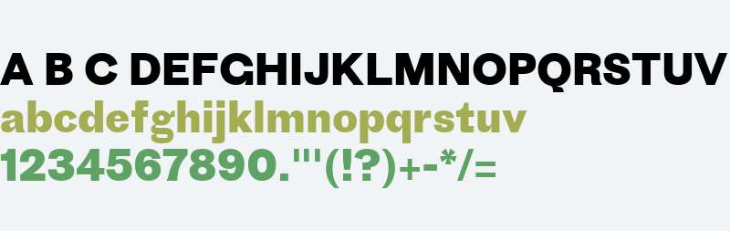 Proto Grotesk Web Bold