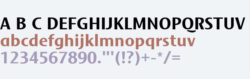 Mosquito Formal W04 Bold