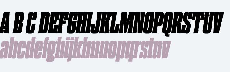 Dharma Slab M W01 Heavy Italic