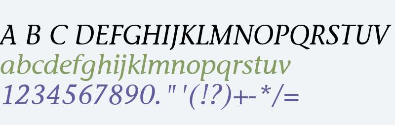 Stone Inf ITC TT MediumItalic