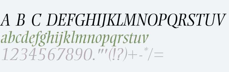 Ellington Light Italic