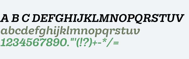 Hernandez Niu W00 Bold Italic