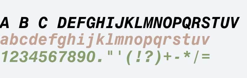 Monospace 821 Bold Italic