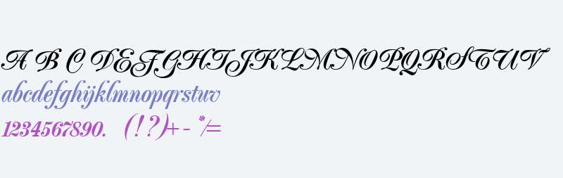 Poppl Exquisit (R) Medium