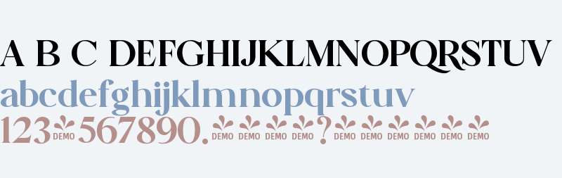 FSP DEMO - Florian Black