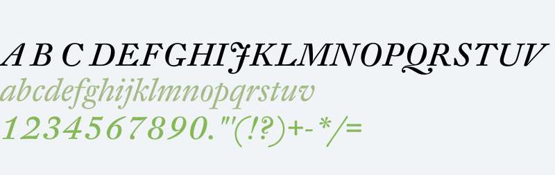 DTL Fleischmann T Italic