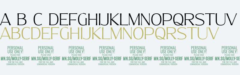 Molly Serif N PERSONAL Thin