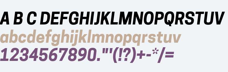 Tanohe Sans Bold Italic