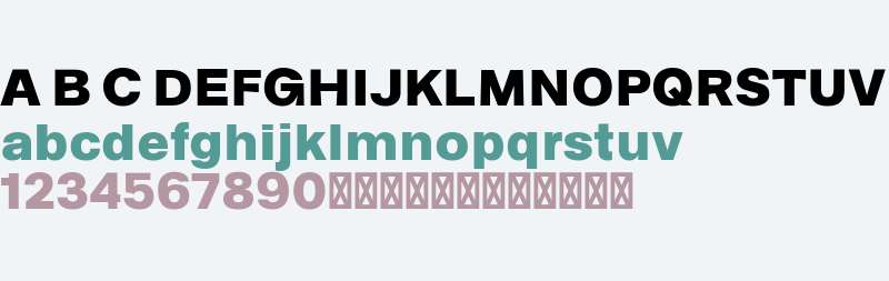 Bastardo Grotesk Black