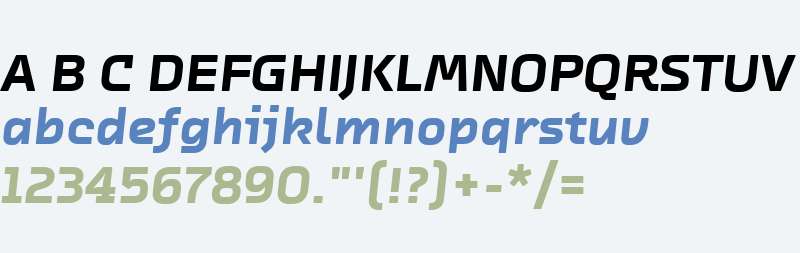 ChambersSansWeb W03 BlackItalic