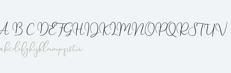 Yolan Script Demo