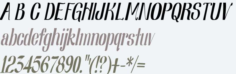 Nearly Dignified Light Italic