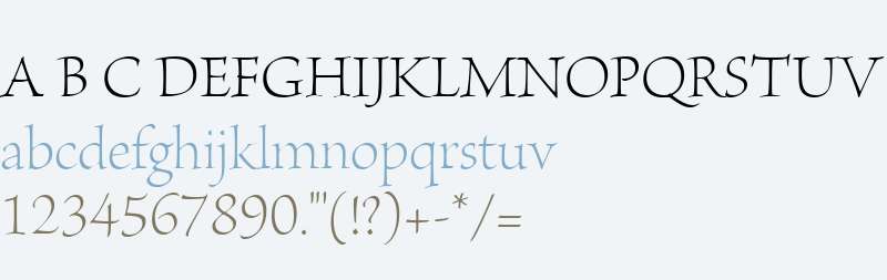 Brioso W04 Light Dsp