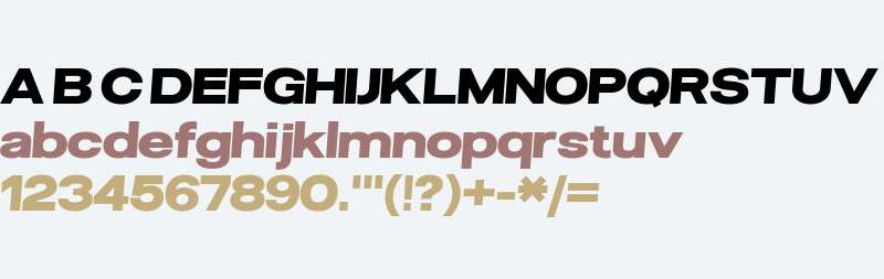 Non Bureau Extended Black