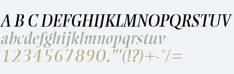 Ellington MT W04 Italic