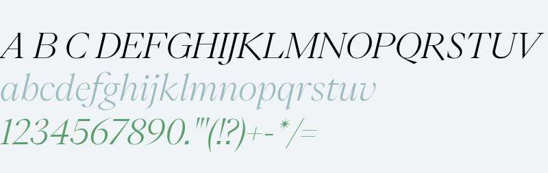 PP Eiko Italic Light