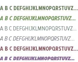 Eastman Condensed Trial