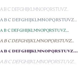 Nocturne Serif Test