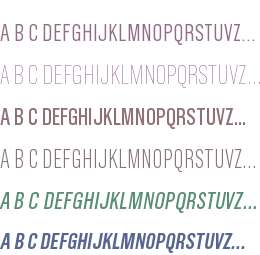 Grotzec Condensed Trial