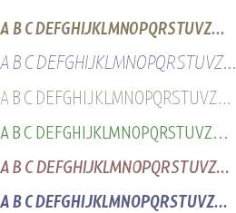 Compasso Condensed Test